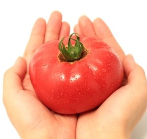 トマトを両手で持つ